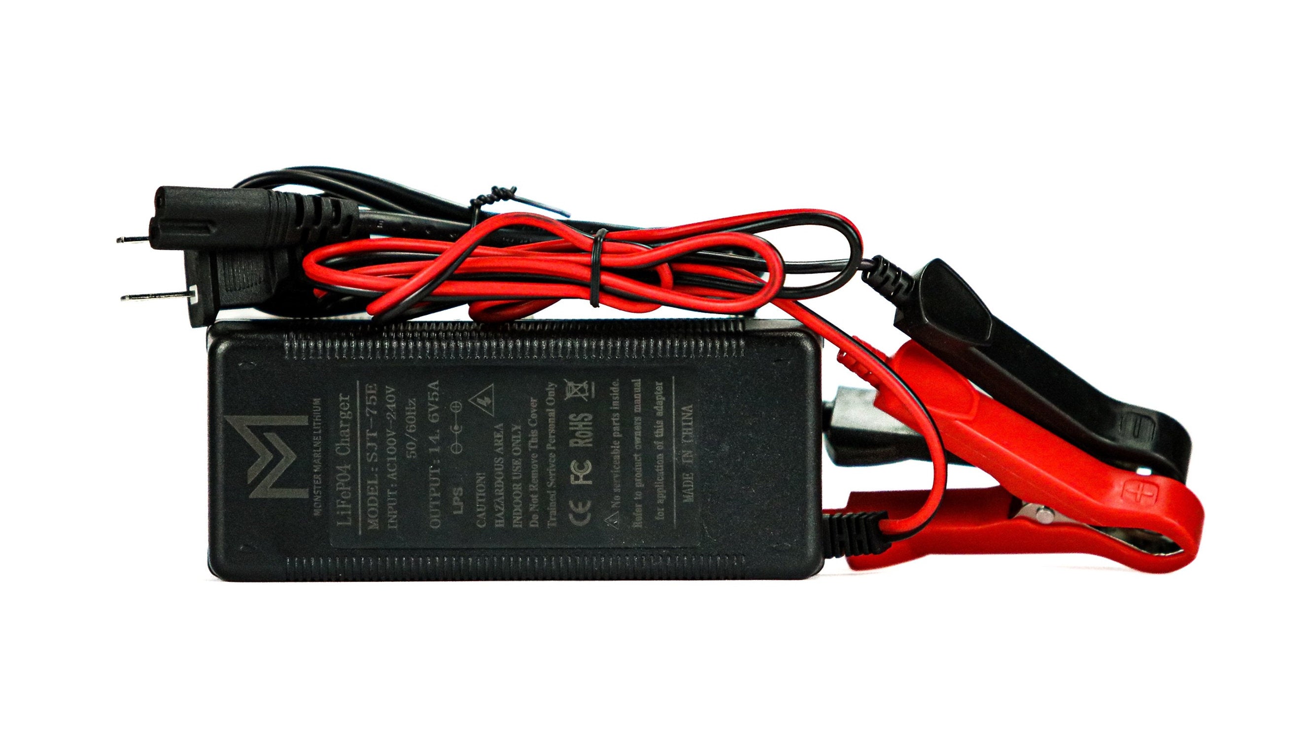 12v 5a lithium charger