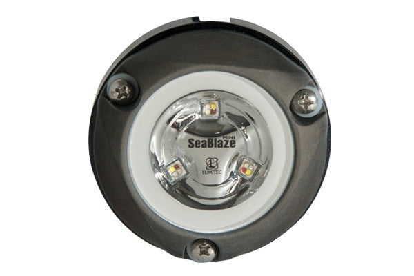 Lumitec Zambezi Mini Spectrum Rgbw For Pontoon Boats Anodized Aluminum 12/24v